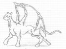 20040827_874_hibriids.jpg