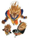 20050201_876_dbz20.jpg