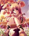 20050301_106_Autumm_Neko.jpg