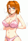 20050424_381_1112537305557.gif