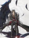 20050530_455_sephiroth_seim[1].jpg