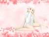 20050618_572_Minitokyo.Anime.Wallpapers.Chobits[97].jpg