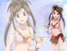 20050621_559_wallpaper_love_hina_1024_04.jpg