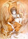 20050723_944_autumnfeathers.jpg