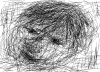 20050825_262_murgs1.PNG