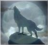20050930_820_wolfsrain-silhouette.jpg