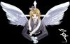 20051004_186_winged.jpg