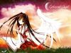 20051019_131_angel3.jpg