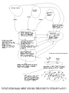 20051108_281_vardi.PNG