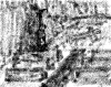 20051205_105_malacis.PNG
