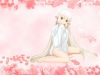 20051209_264_Minitokyo.Anime.Wallpapers.Chobits[97].jpg