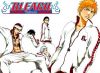 20051221_290_bleach.jpg