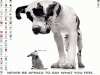 20051228_192_dogs.gif