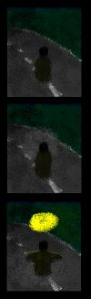 20060110_687_otrais.PNG