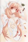 20060307_455_normal_strawberrymaid.jpg