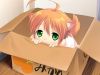 20060325_464_kitsuneinabox.jpg