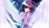 20060428_462_angel0011.jpg