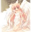 20060502_675_angel.jpg