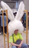 20060513_860_bunnyhead.jpg