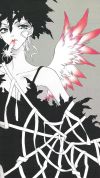 20060613_143_ai_feathers.jpg