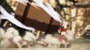 20060723_369_Agito2.jpg