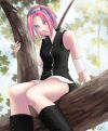 20060919_797_sakura_tifaish.jpg