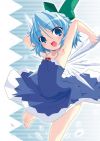 20060930_406_cirno.jpeg