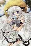 20061117_141_nekos.jpg