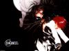 20061117_230_dnangelwall01-800.jpg
