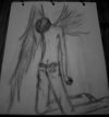 20070219_730_dep.angel_bw_sm.jpg