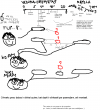 20070222_929_anime-klas.PNG