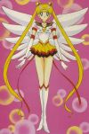 20070417_975_sailor-moon_.jpg