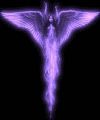 20070427_882_goth-angel2.jpg