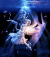 20070429_592_angelinwater.jpg
