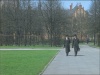 20070509_811_bscap003.jpg