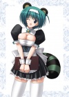 20070607_500_tanukimaid.jpg