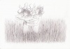 20070721_317_we_are_the_growing_crop_labots.JPG