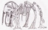 20070802_376_5-leged_mazs.jpg