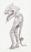 20070903_818_twin-legs.jpg