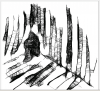20071201_114_scribbler2r.PNG