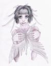 20080721_726_hidden_wings.jpg